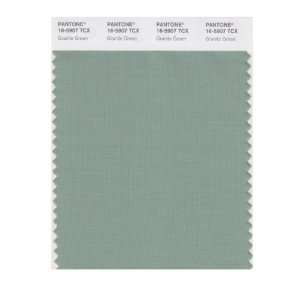   SMART 16 5907X Color Swatch Card, Granite Green: Home Improvement