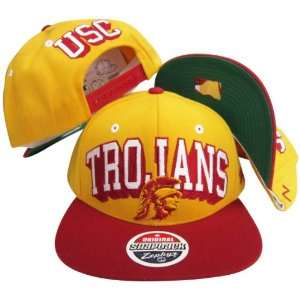   Snapback Adjustable Plastic Snap Back Hat / Cap