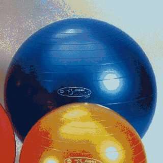  Balance Balls Fitball Firm Exercise Ball   25 1/2 Dia 