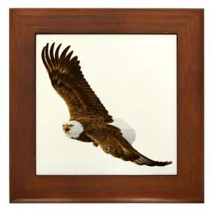  Framed Tile Bald Eagle Flying: Everything Else