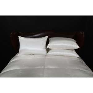  Priviledged Pillows by Cloud Nine