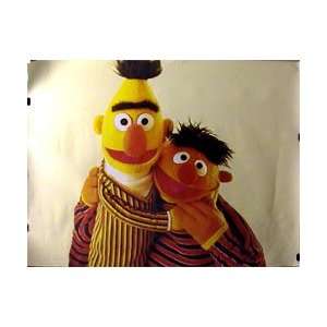   : Sesame Street   Bert and Ernie   23.8x33.5 inches: Home & Kitchen