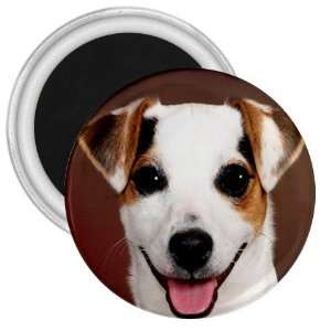  Jack Russell Puppy Dog 6 3in Magnet S0704 