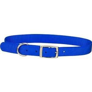   1 Single Ply Nylon Dog Collar in Blue, Large