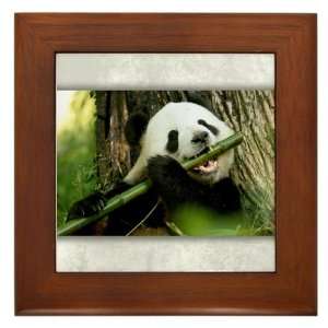  Framed Tile Panda Bear Eating: Everything Else