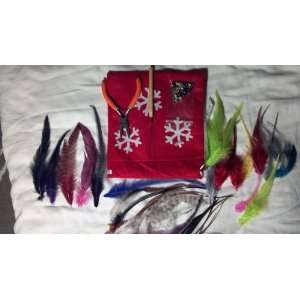  Christmas Limited Edition Feather Extension Tool Kit With 