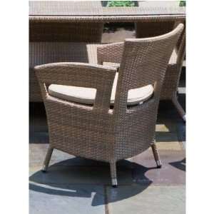  Loggia Wicker Dining Arm Chair With Cushion: Patio, Lawn 