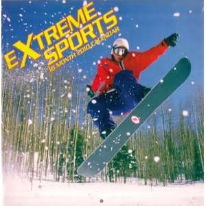  2010 Extreme Sports Wall Calendar: Office Products