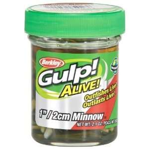  Academy Sports Berkley Gulp! Alive! 1 Minnow Jar: Sports 