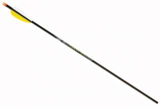 Gold Tip Velocity XT 500 w/ 2 vanes (dzn)  