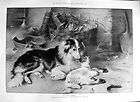   Antique Print Sheepdog Shetland Collie Baby Lamb Motherless Orphan