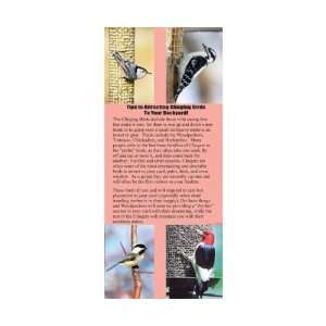   Birds To Your Backyard   Quick Resource of Information Everything