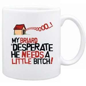  New  My Briard Is Desperate   Mug Dog