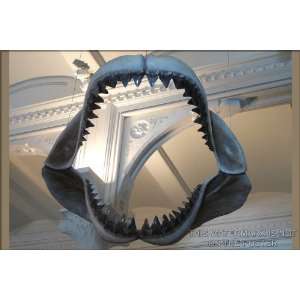  Megalodon Shark Jaws   24x36 Poster 