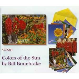  Leanin Tree Colors of the Sun by Bill Bonebrake Blank 