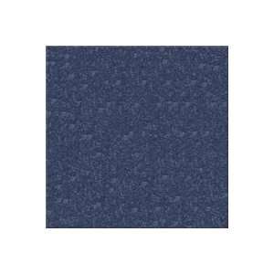   Aladdin Sensational Color Patriot Carpet Flooring