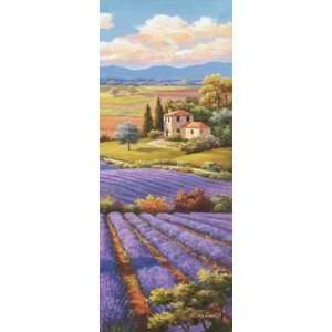  Fields Of Lavender I Finest LAMINATED Print Sung Kim 12x36 