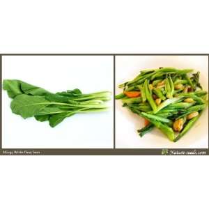  Nature Seeds White Choy Sum 1000 Vegetable Gardening Seeds 