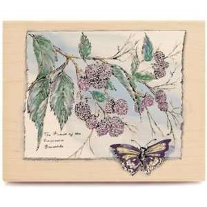  Bramble Berry Sketch Wood Mounted Rubber Stamp Arts 