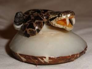 Wounaan Tagua Nut Carving Rattlesnake Panama Art  