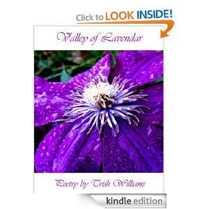 Valley of Lavender Trish Williams  Kindle Store