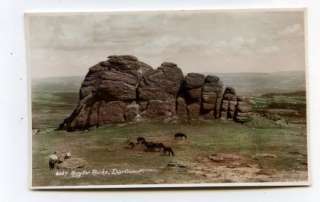 HAYTOR ROCKS   Dartmoor ponies   real photo postcard  