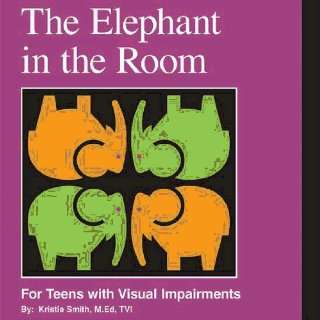  Cognitive Visual Development The Elephant In The Room 