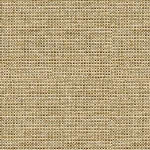  31512 1611 by Kravet Smart Fabric