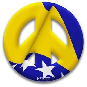  MEYOTO 5.5 Bosnia and Herzegovina Cling Decal: Home 