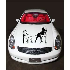 Pitbull Dogs Animal Cute Design Hood Vinyl Sticker Decals A324:  