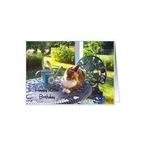 Happy 105th Birthday, calico cat on porch, garden view 