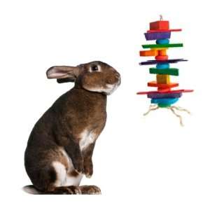  Medium Crazy Color Rabbit Chew Toy