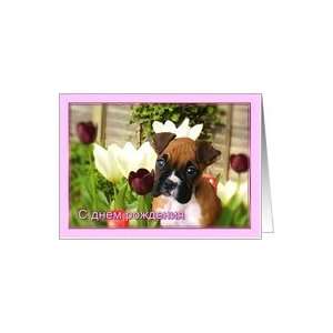  Russian Happy Birthday Boxer puppy in Tulips Card Health 