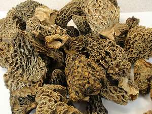 Dried Morel Mushrooms (BULK) 100% Natural  