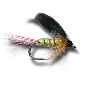  McGinty Wet Fly Fly Fishing Fly