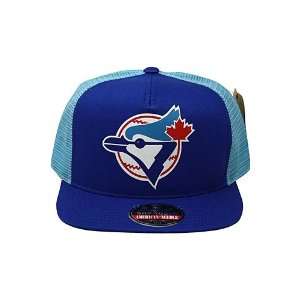  American Needle Gatekeeper Toronto Blue Jays Snapback Hat 