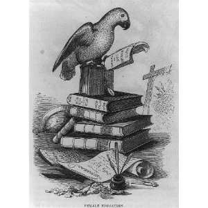   on stack of books,1857,drawing,David Hunter Strother