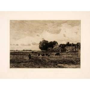   Art Dutch Meadows Cattle Agriculture Cows Landscape   Original Etching