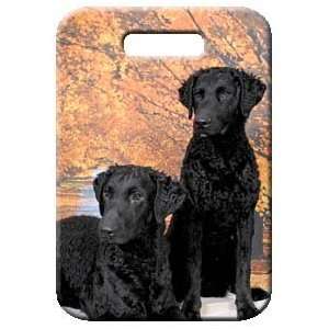  Set of 2 Curly Coated Retriever Luggage Tags: Everything 