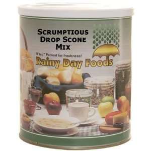 Scrumptious Drop Scone Mix #10 can  Grocery & Gourmet Food