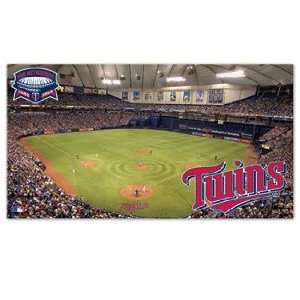  MLB Minnesota Twins Mat   Stadium Style
