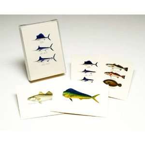 Saltwater Fish Assortment Notecards