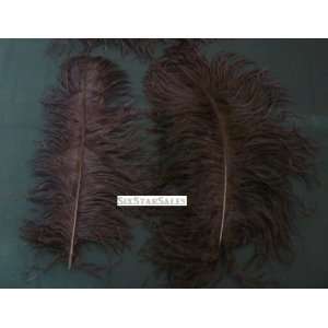 Ostrich~10 Wing Ostrich Plumes Jet BLACK Ostrich Feather 14 18 Long 