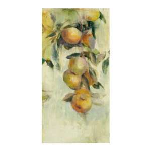    Golden Fruit Study I by Allyson Krowitz, 16x28: Home & Kitchen