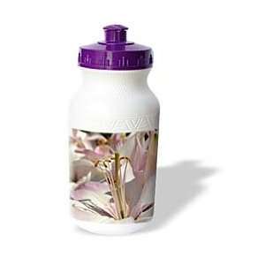   Light Pink Lily Flower Macro  Flowers  Easter   Water Bottles: Sports