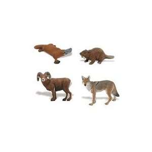  Wildlife   Beaver, Platypus, Big Horn Ram, Coyote: Toys & Games