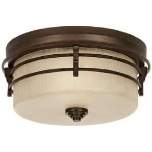   Park Collection 14 Wide LED Outdoor Ceiling Light: Home Improvement