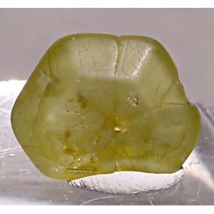  Chrysoberyl Natural Gem Crystal Specimen Sri Lanka