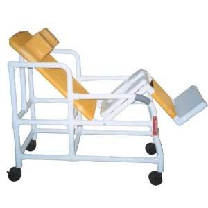   Tilt N Space Roll In Shower Chair: Health & Personal Care