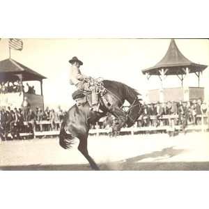   ,postcard,spectators,riding,man,rodeos,corral,c1910